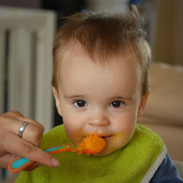 7 Secrets to Successful Baby-Led Weaning