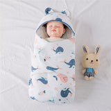 Spring Baby Sleeping Bag Wrap - Little OneSie